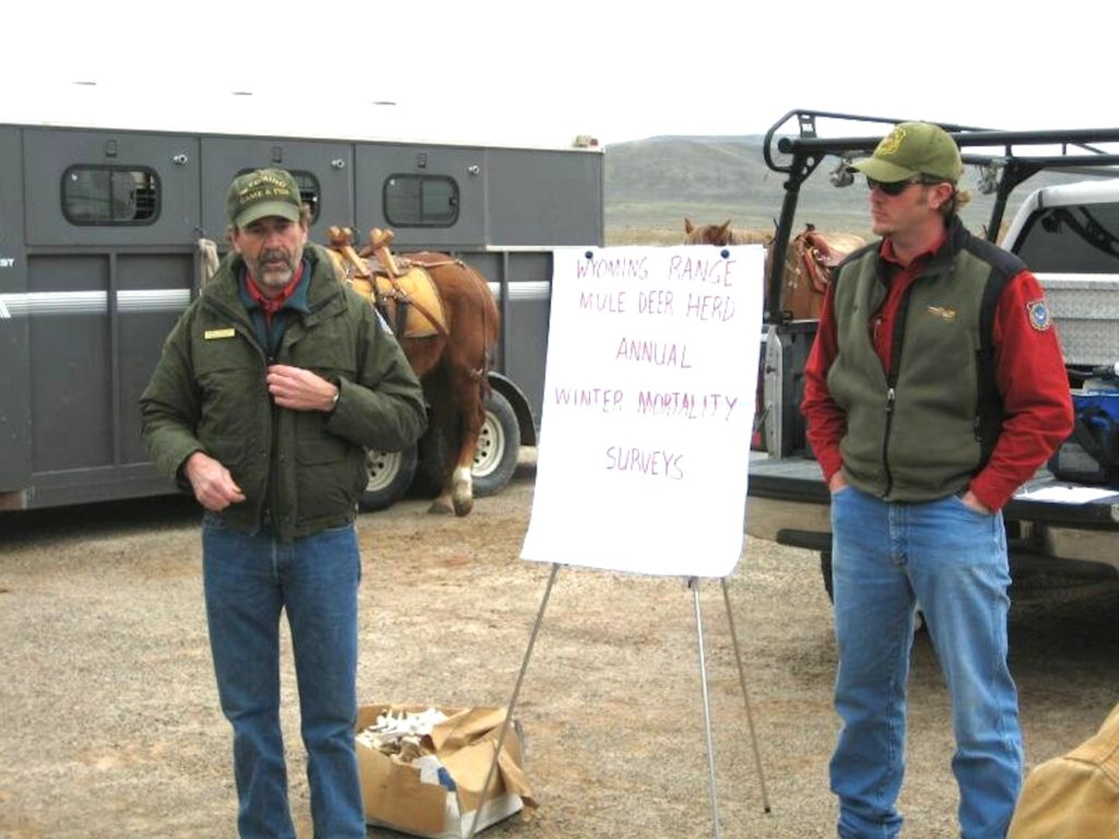 Volunteers needed for 20th annual deer mortality surveys