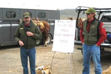 Volunteers needed for 20th annual deer mortality surveys
