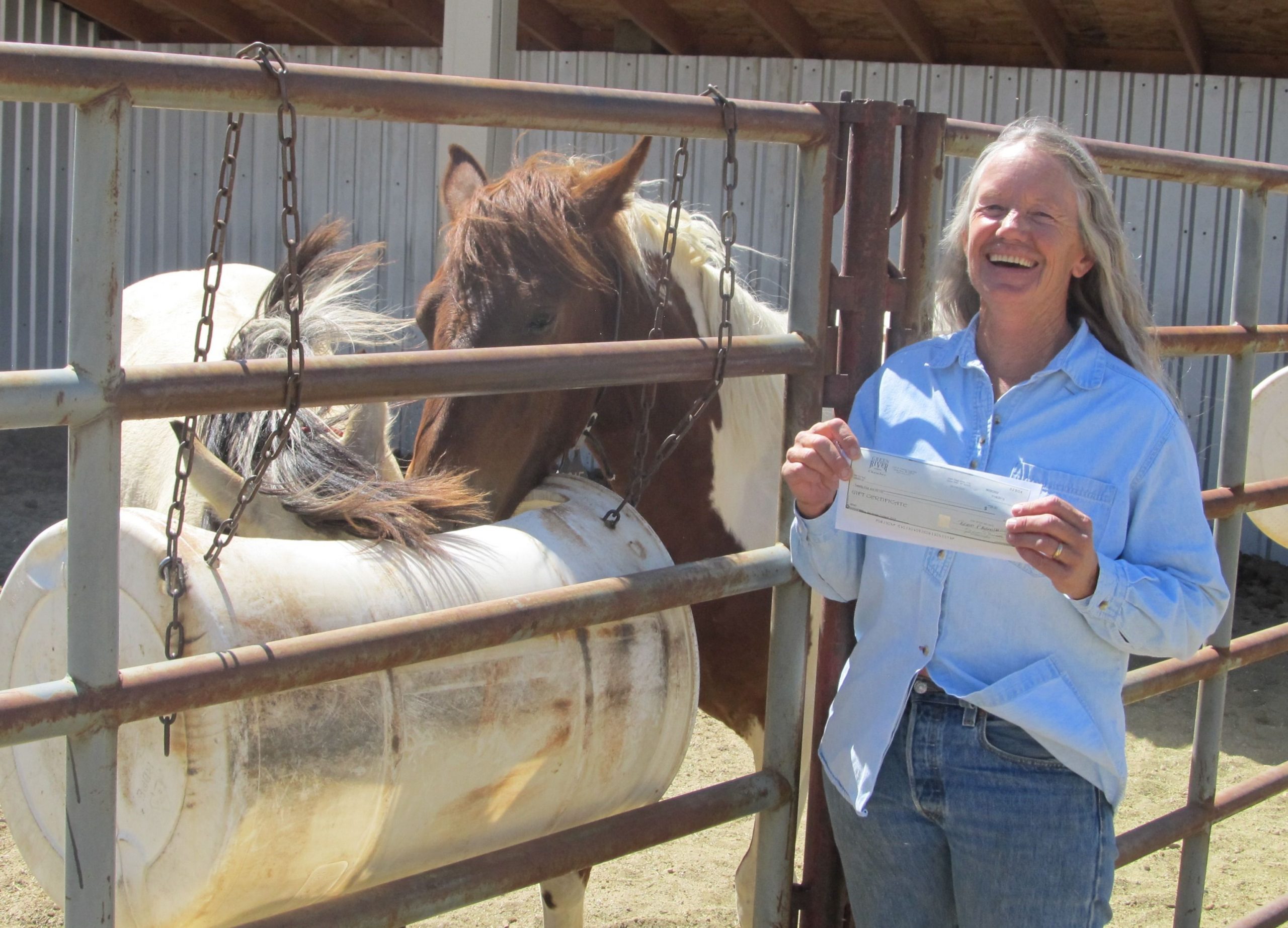 BLM wild horses housed at Green River Chamber receive new names