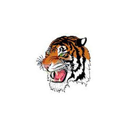 Clock runs out on Tiger football season