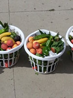Bountiful Baskets!