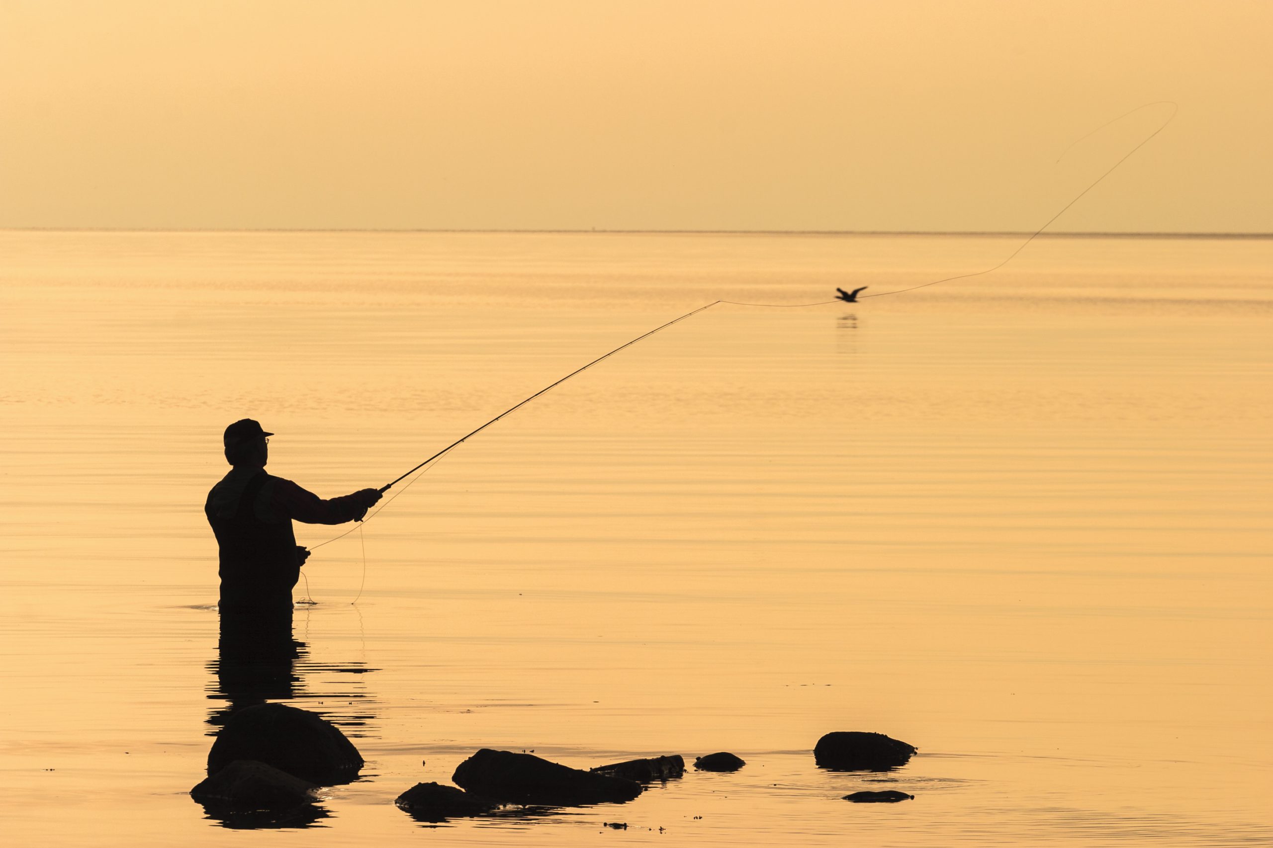 Interested In Fishing, Boating And Water? Comment Now On Proposed Changes To Regulations