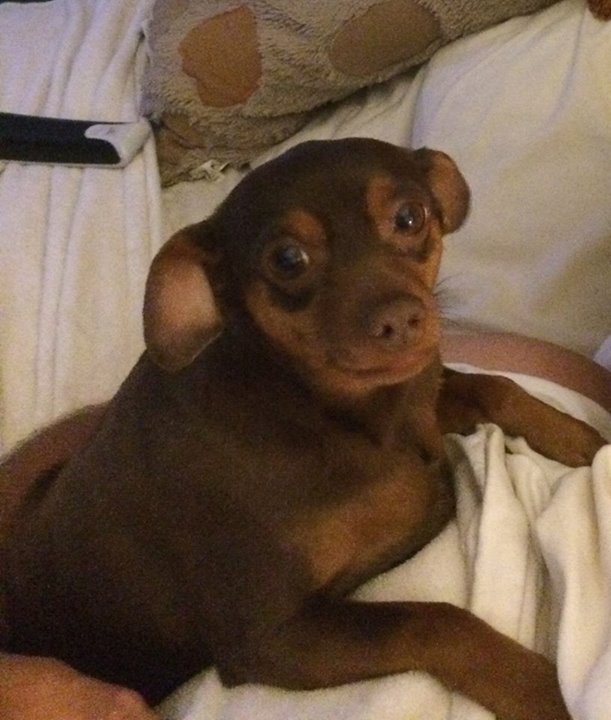 Update: Mia is back home with her family