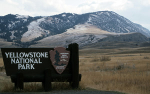 Search underway for man missing In northern Yellowstone