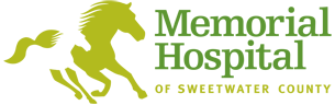 logoforsara