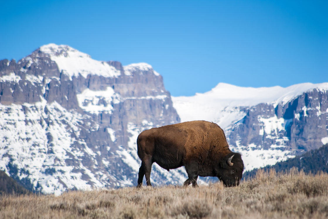 Wyoming Snowpack 70-75 Percent of Normal