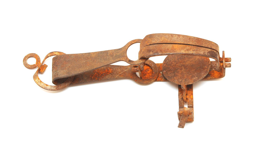 Park County Man Convicted for Illegal Trapping Activity