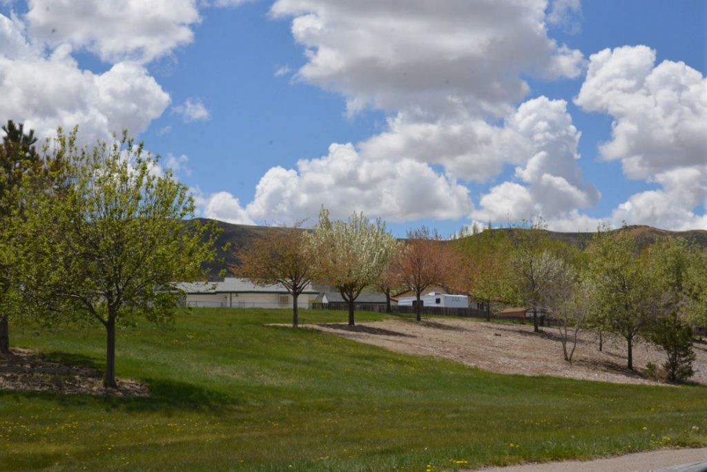 Celebrate Arbor Day at Indian Hills Park