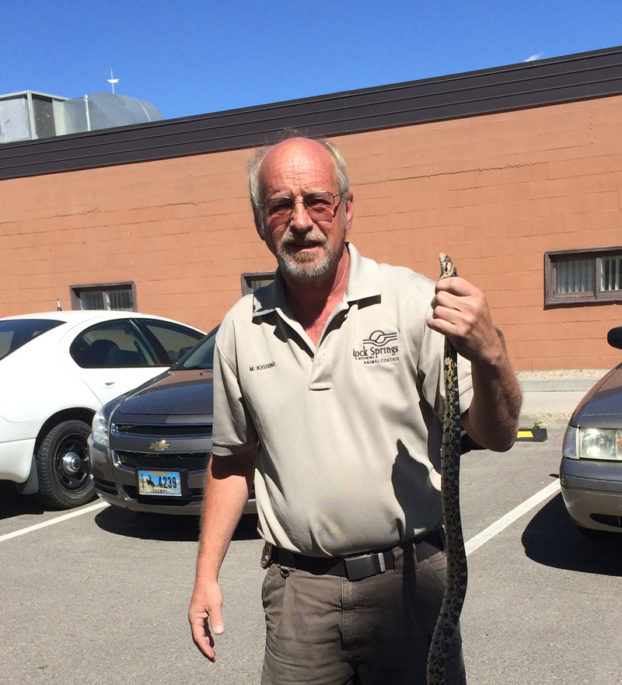 Rock Springs Animal Control Issues Snake Advisory - SweetwaterNOW