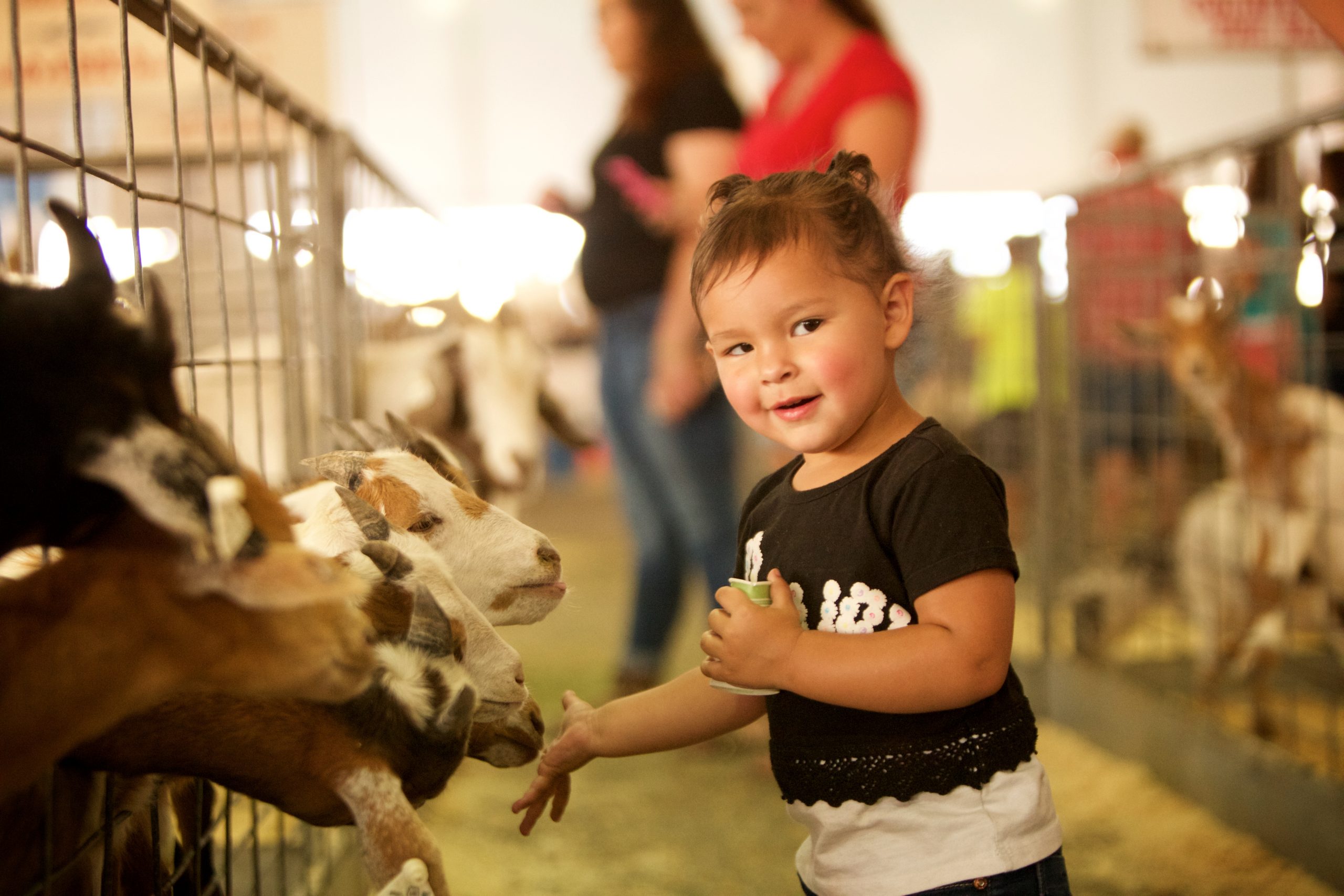 Events Complex Stakeholders Meeting March 21