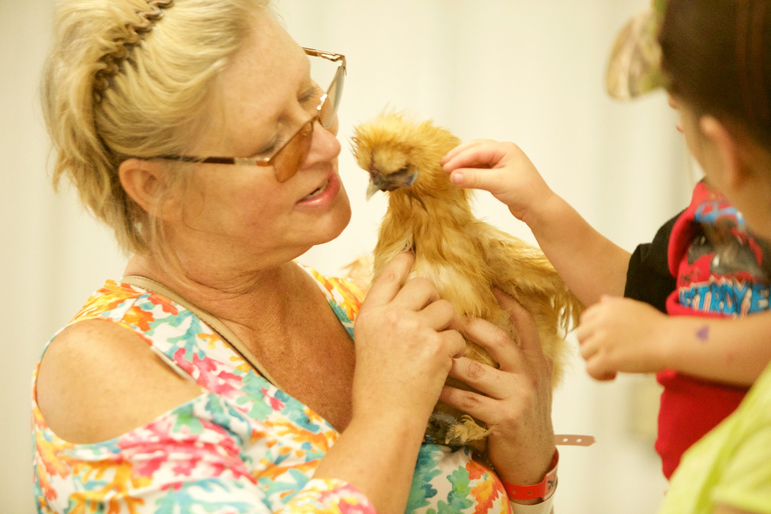 Therapy Chickens on Display at the Big Show