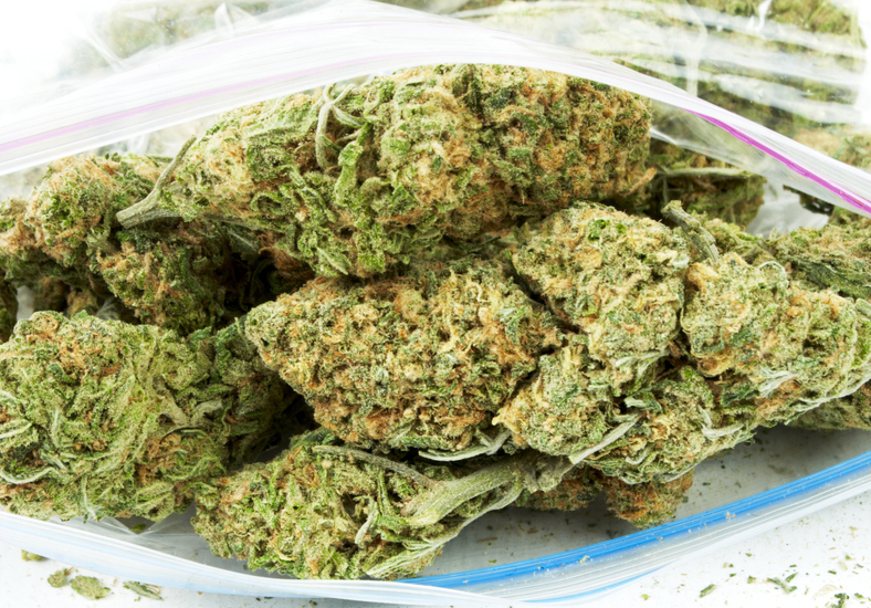 Marijuana Legislation Seeks to Diversify Wyoming’s Economy