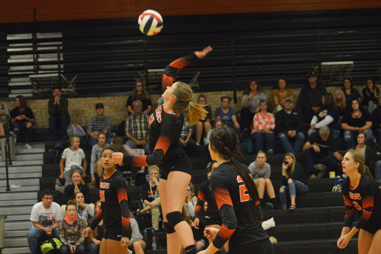 Lady Tigers Play Tough, but Lose to Red Devils in 5 Games