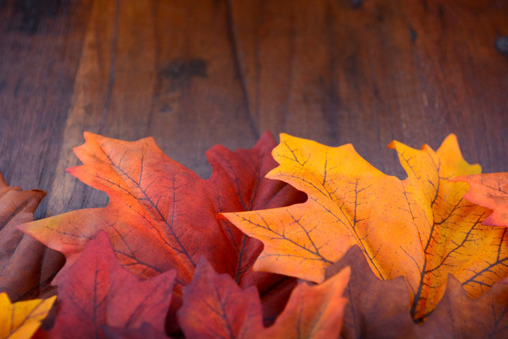 Bitter Creek Boutique Hosts “Fall Into Fall” Craft Fair