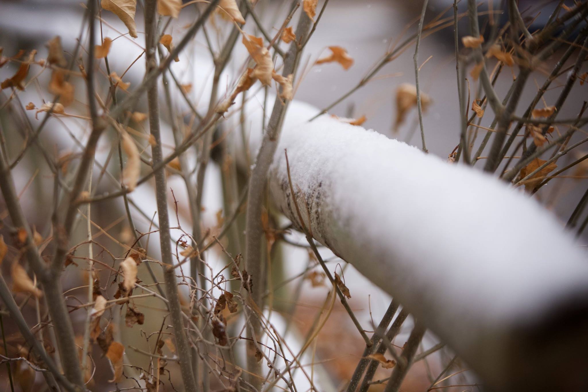 Sweetwater County Snowfall Totals