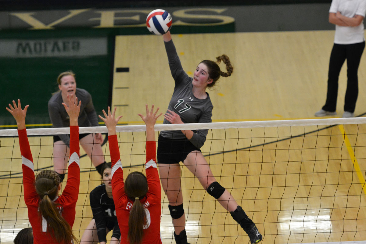 Three Lady Wolves Recognized for Accomplishments on the Volleyball Court