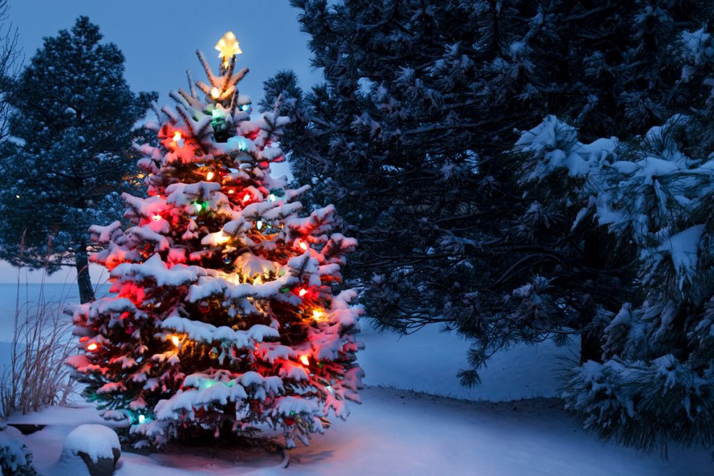 Green River Mayor’s Tree Lighting Ceremony is December 1