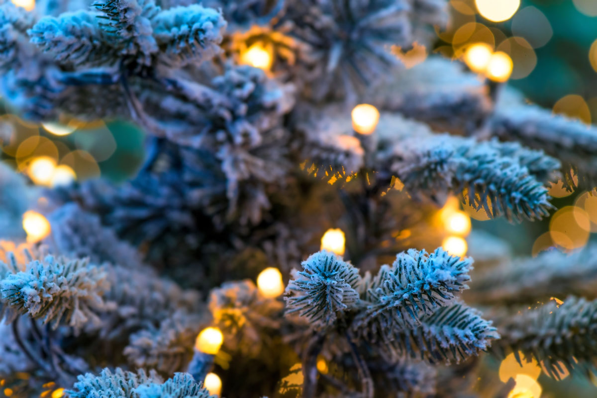Rock Springs Mayor’s Tree Lighting Will be December 2