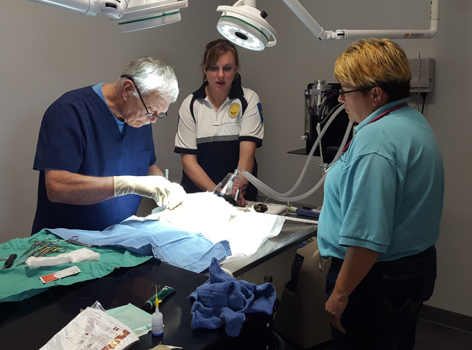 Spay/Neuter Clinic Conducted