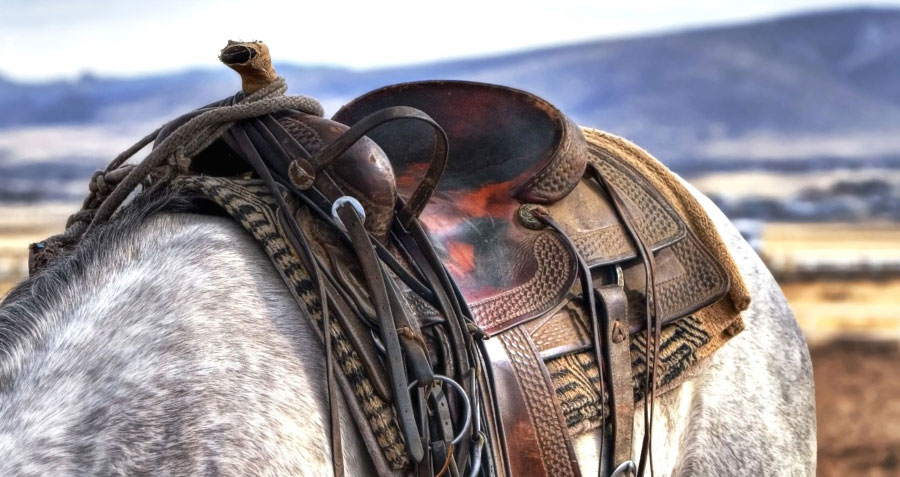 Pony Express to Hold Annual Christmas Card Ride