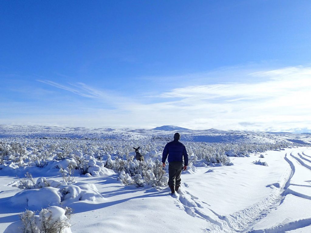 Wyoming Range Mule Deer Showing Signs Of Recovery