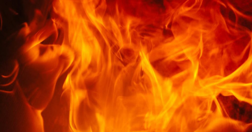 Firefighters Rescue Several Pets From Trailer Fire Yesterday