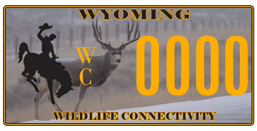 Wildlife Conservation/Connectivity Specialty License Plate Bill to be Introduced