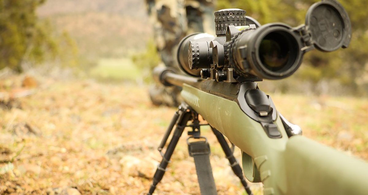 Wyoming Nonresident Outfitter Convicted of Transferring License