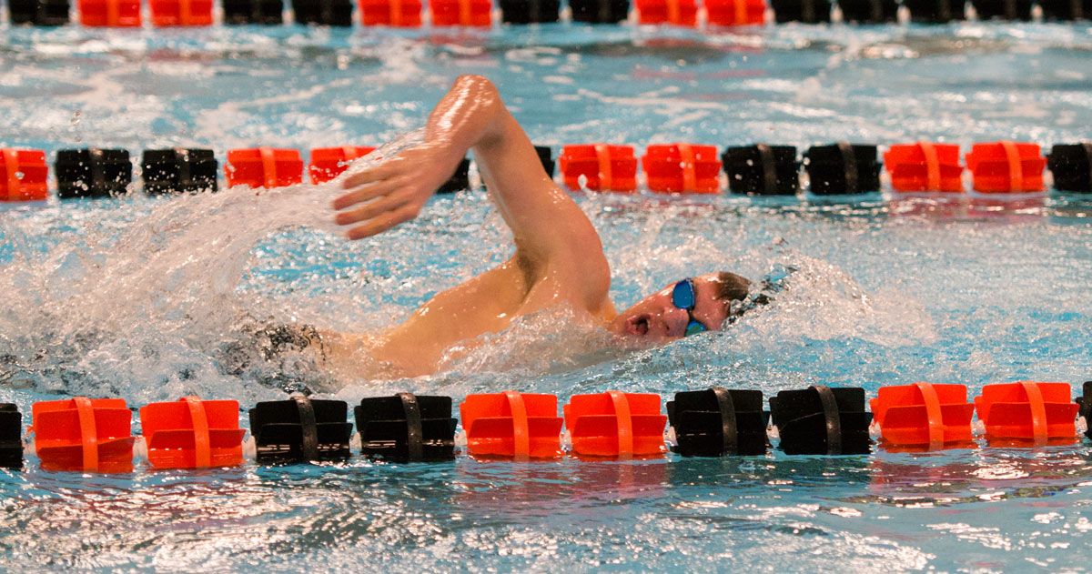 Tigers Host Last Chance Swim and Dive Meet