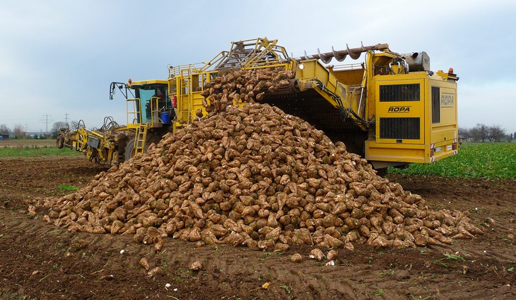 Rural Leaders, Innovators Meet in Casper to Grow Wyoming Agriculture
