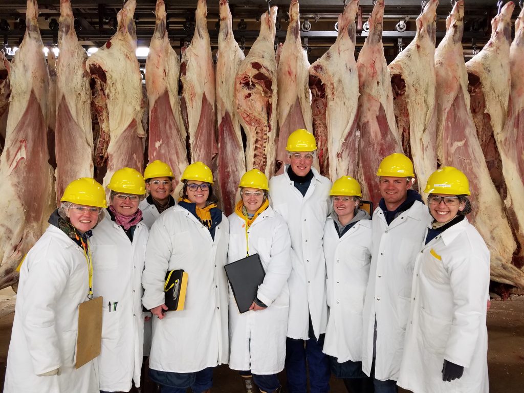 UW Meat Judging Team Makes a Comeback