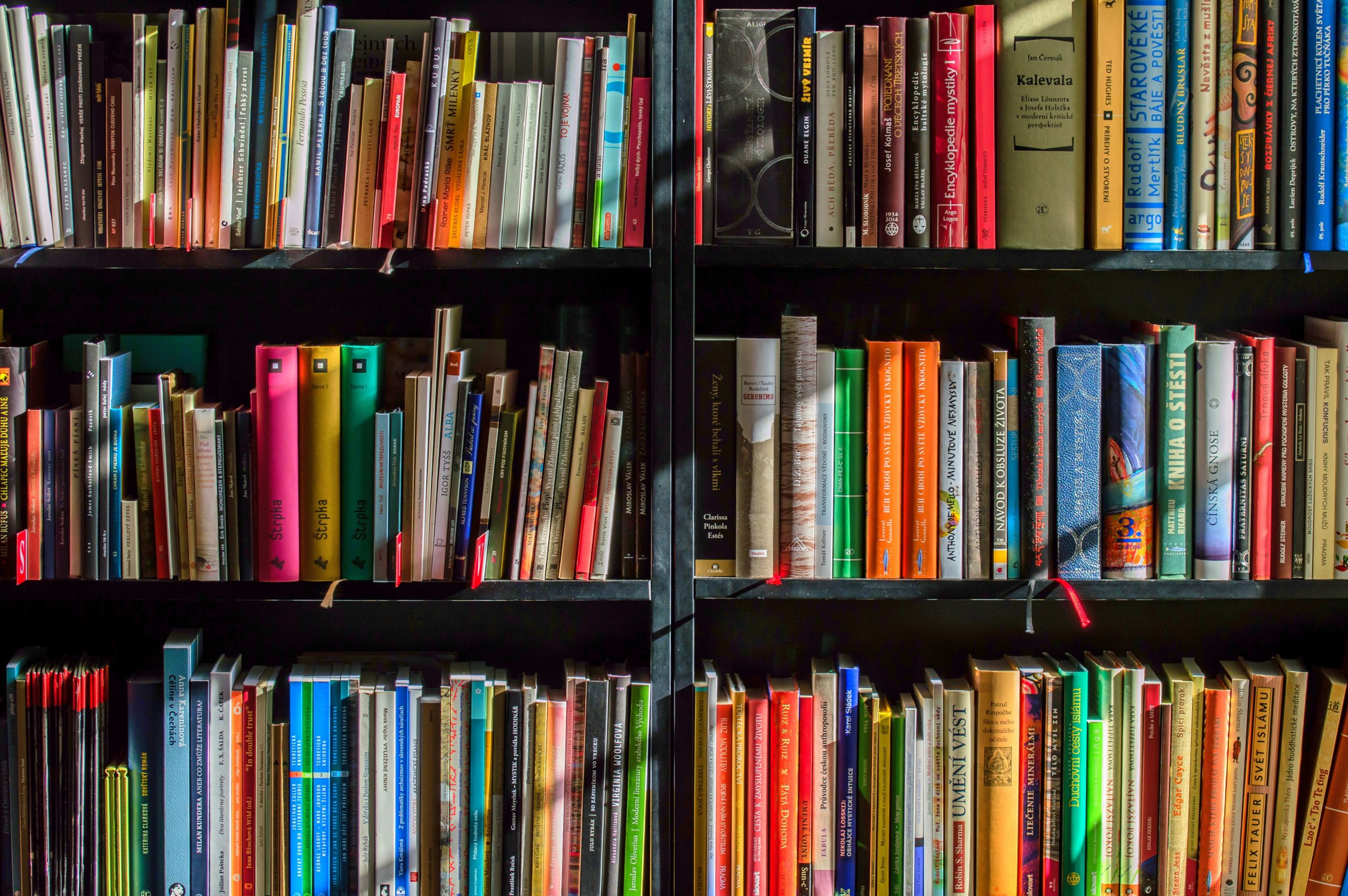 RS City Council Proclaims Next Week as National Library Week