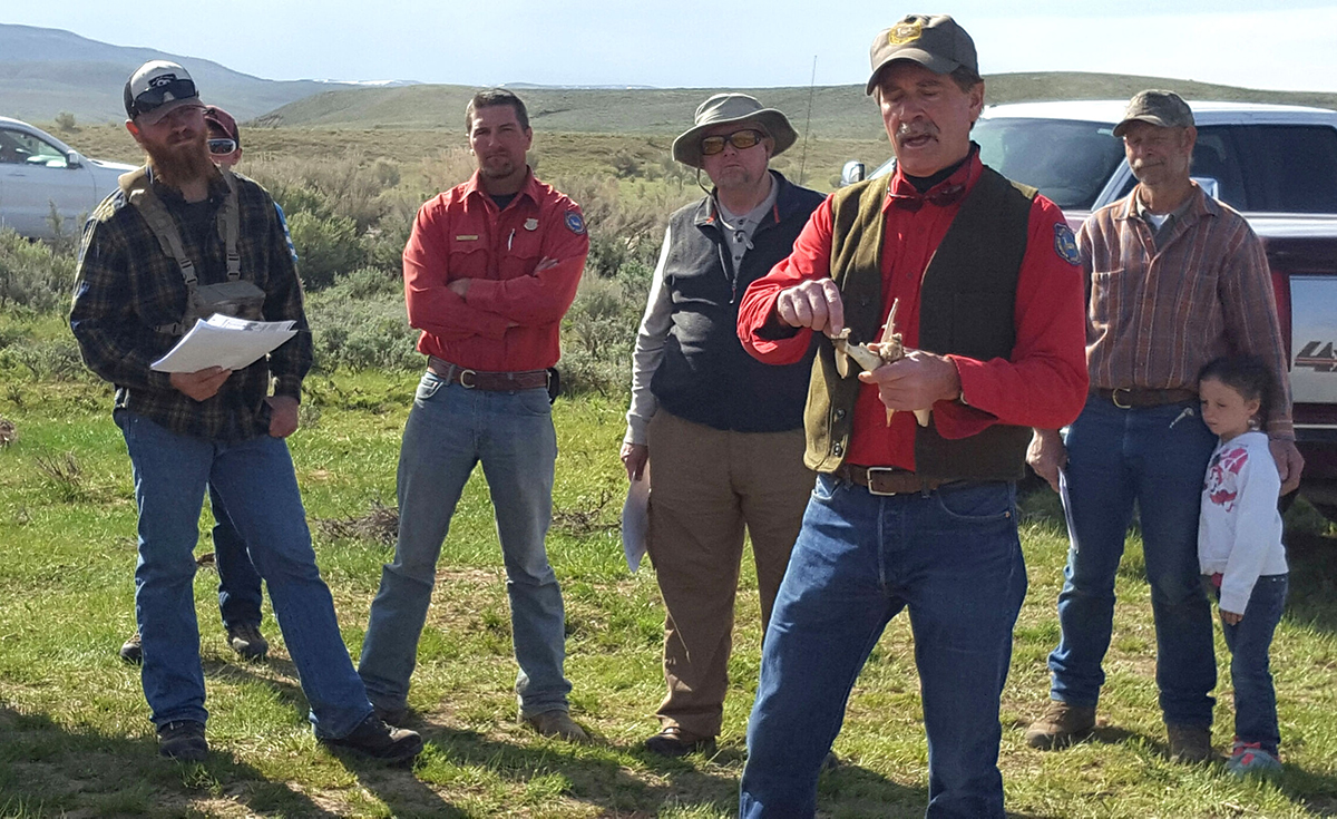 Game and Fish Asking for Volunteers for Annual Deer Mortality Surveys