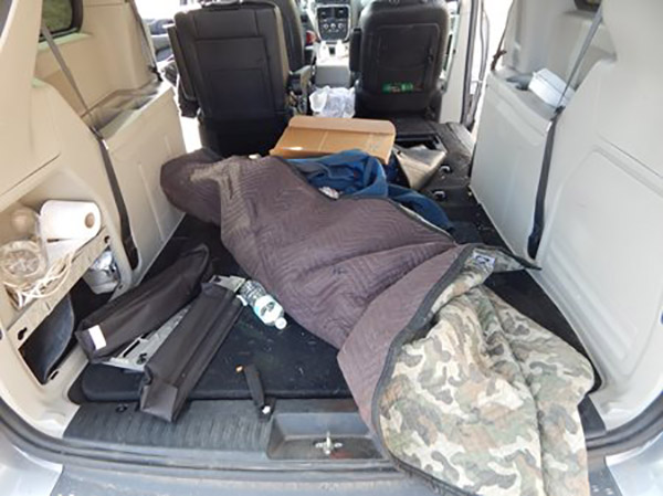 Pronghorn Poached and Stuffed into Rental Van