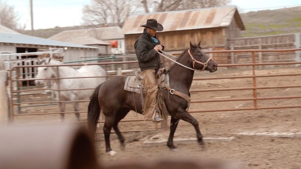 Flaming Gorge Days Announces 2018 Concert Lineup!