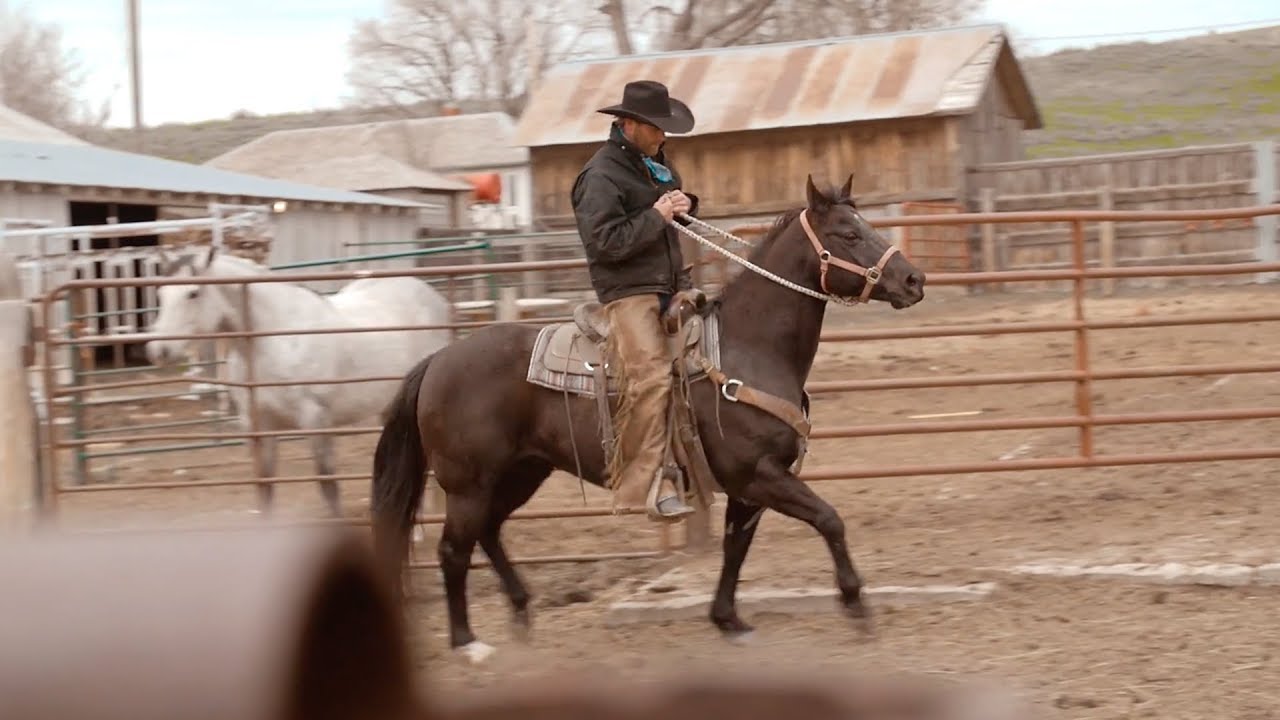 Flaming Gorge Days Announces 2018 Concert Lineup!