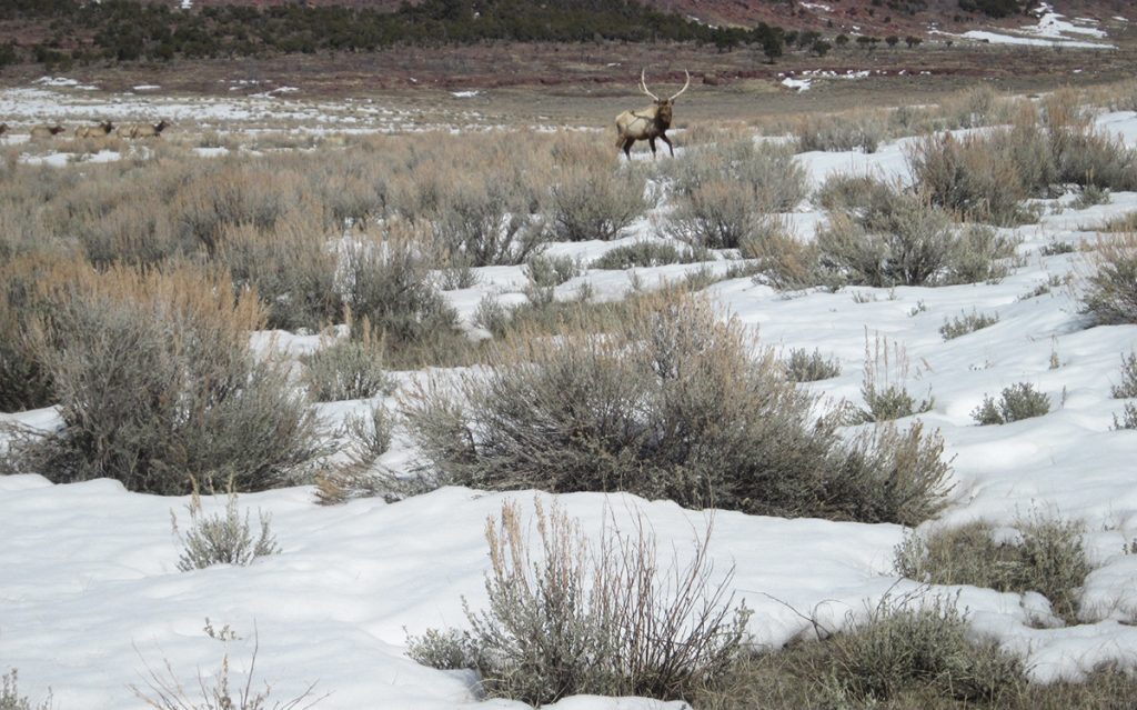 OPINION: Wally Johnson is Latest Victim of his own Ideology