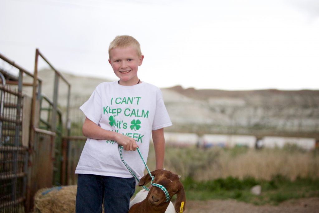 I Stink, Therefore I Ham: Green River 4H Prepares for Fair