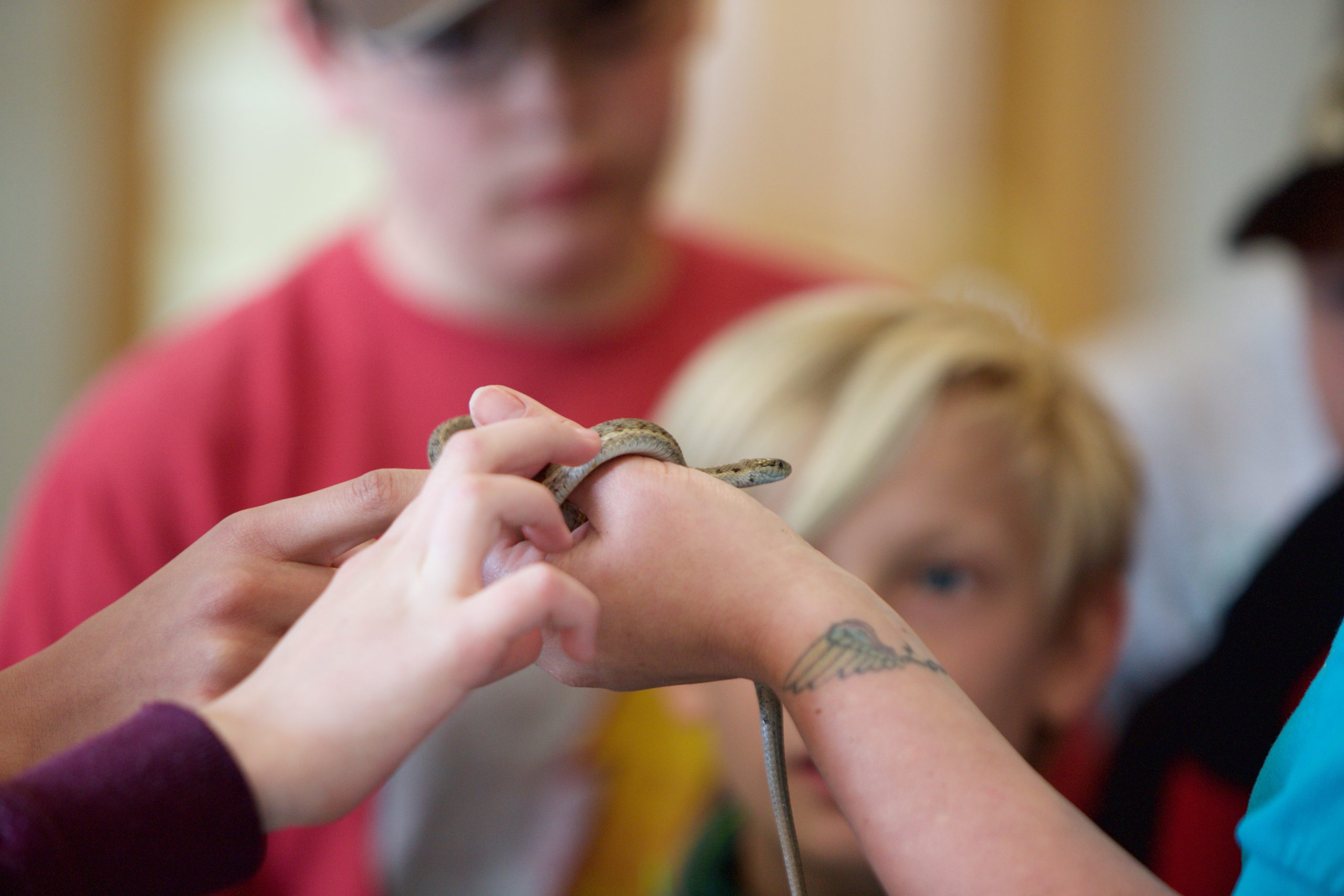 Crayfish, Snakes, & Leeches: Monroe Kids Get Full Seedskadee Experience