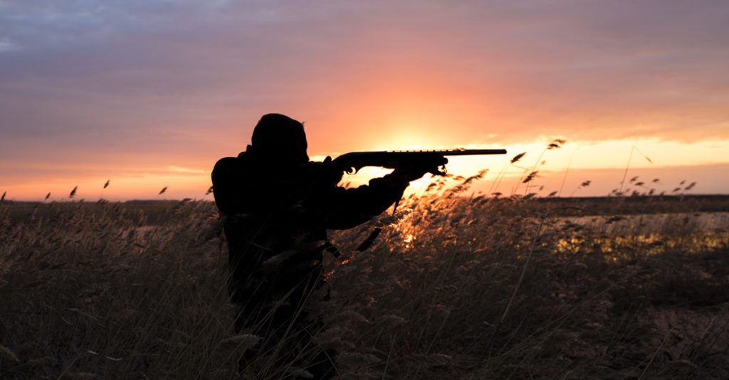 The 2018 Wyoming Hunting Guide is Here