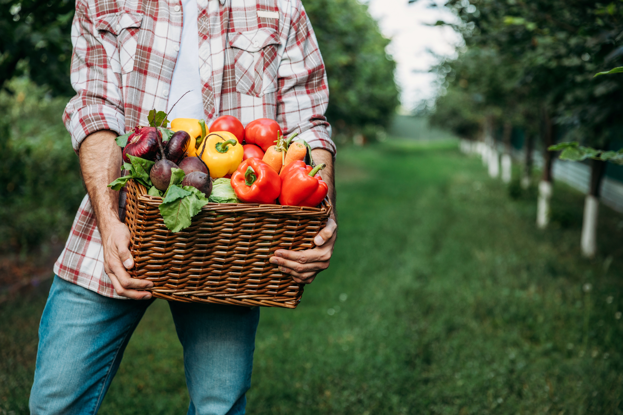 Wyoming Awarded USDA Grant to Expand Farm to School Programs