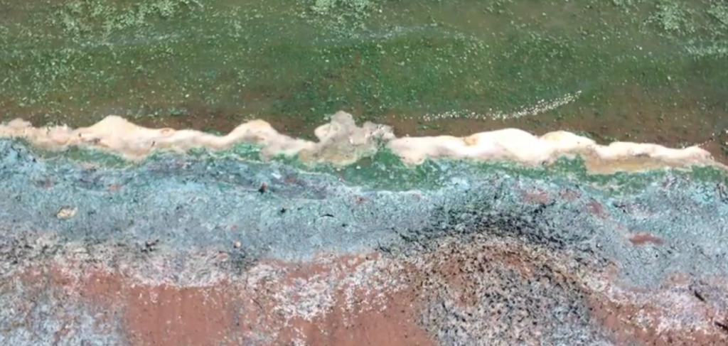 Avoid and Report Possible Harmful Algal Blooms in Wyoming Waters