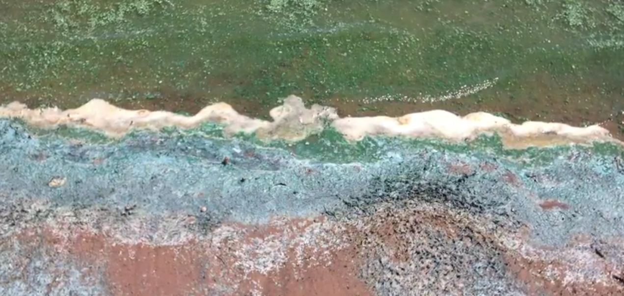 Avoid and Report Possible Harmful Algal Blooms in Wyoming Waters