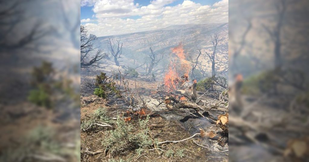 It’s Ready to Burn: Fire Crews Tackle Three Blazes Over the Weekend, Prepping for More