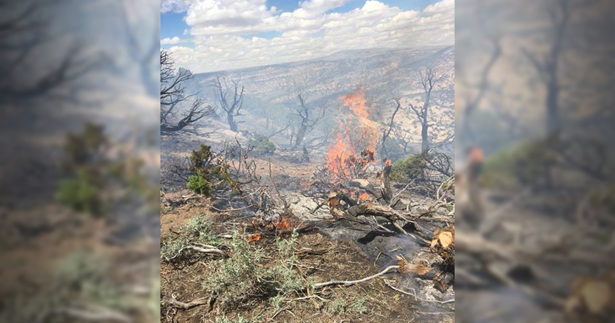 It’s Ready to Burn: Fire Crews Tackle Three Blazes Over the Weekend, Prepping for More