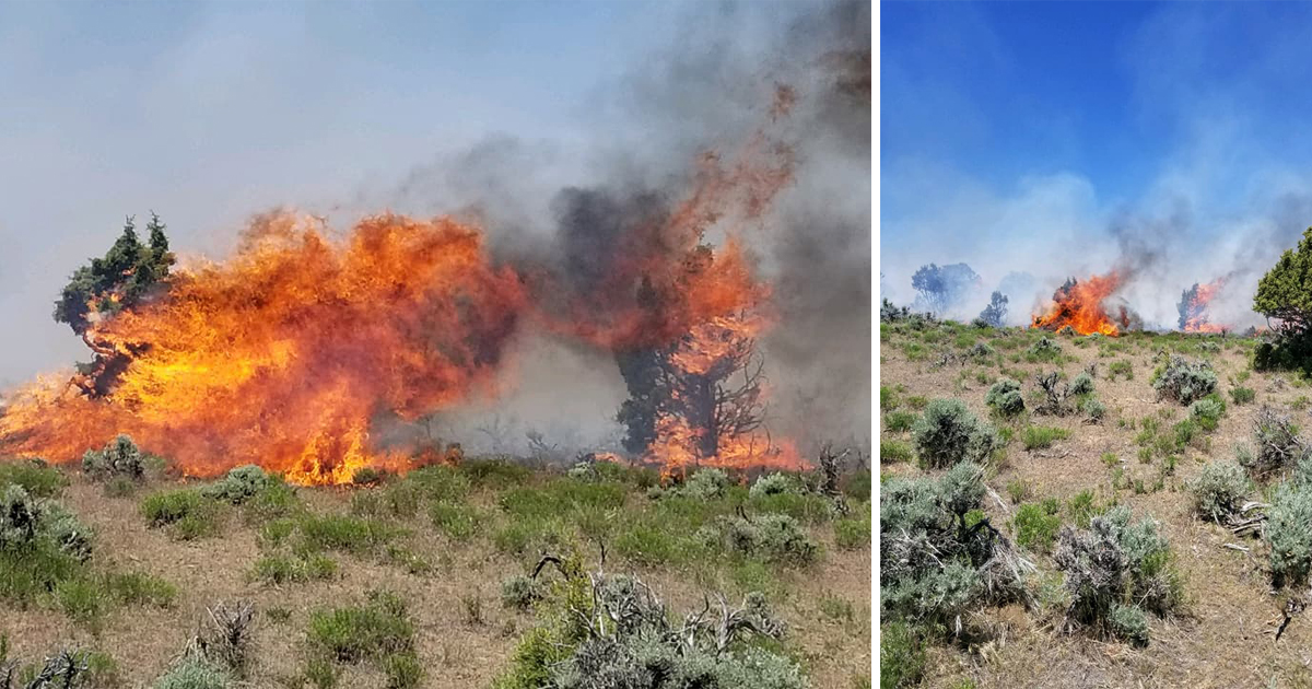 Fire Crews Respond to Brush Fire in Uinta County