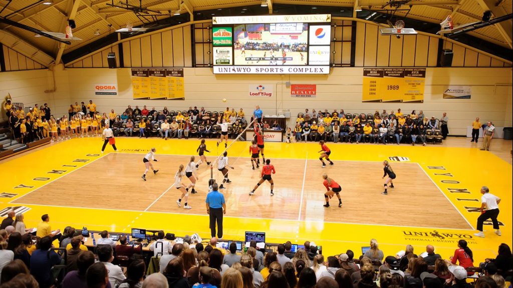 Cowgirl Volleyball Earns AVCA Team Academic Award