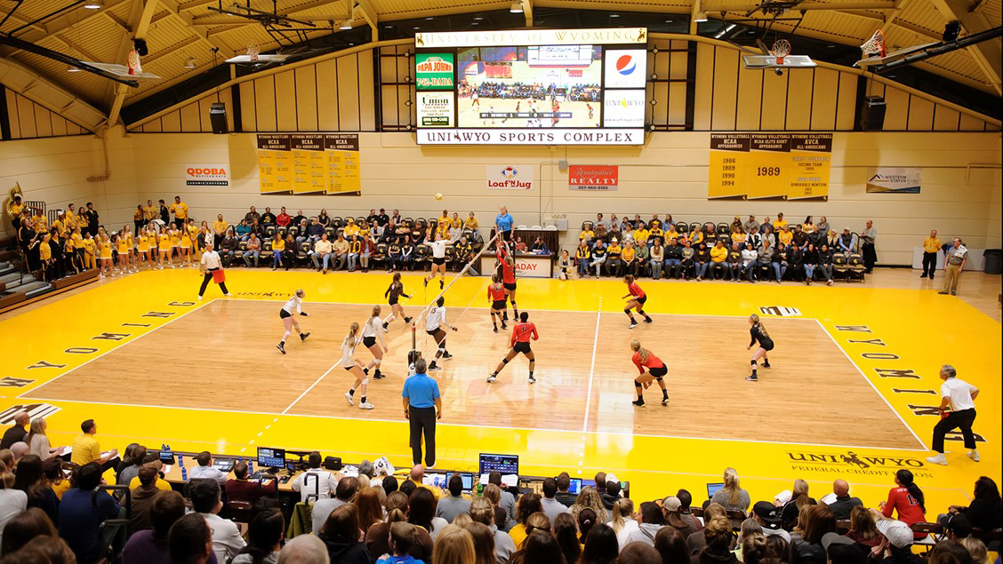 Cowgirl Volleyball Earns AVCA Team Academic Award