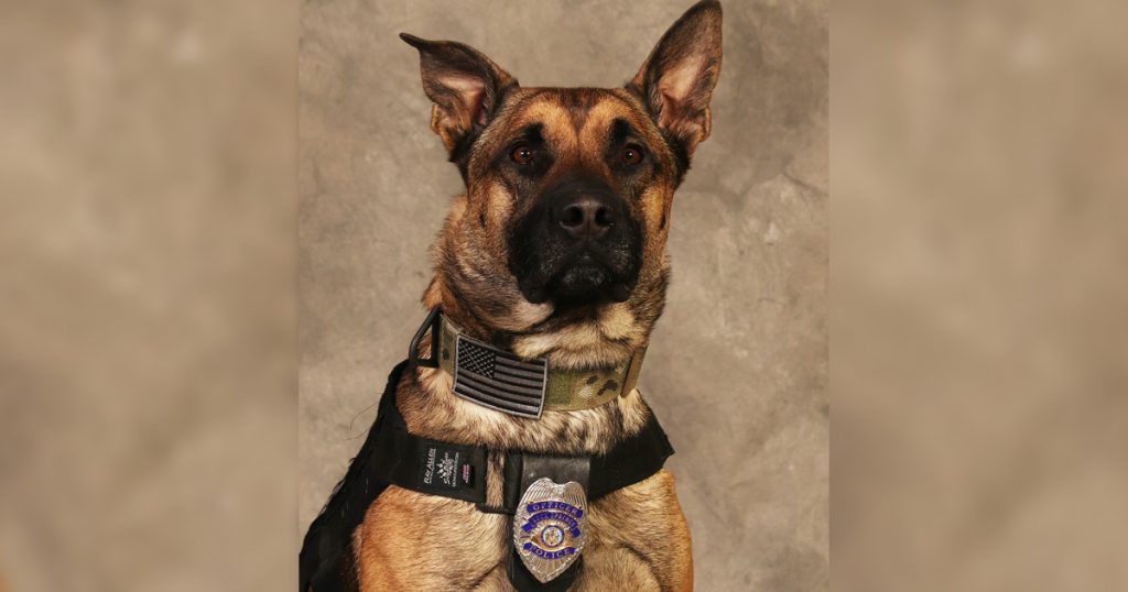 Council Celebrates RSPD K9’s Retirement Tuesday