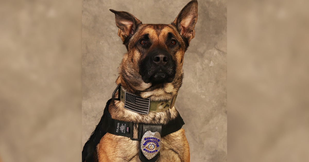 RSPD’s K9 Max to Receive Donation of Body Armor